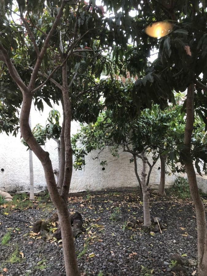 Chalet La Cepa Las Palmas de Gran Canaria Kültér fotó