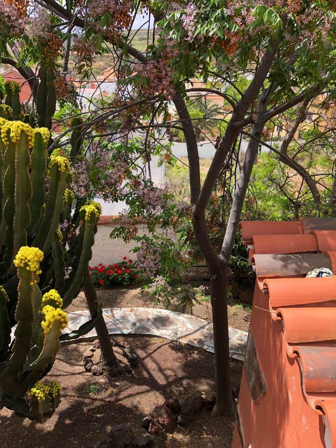 Chalet La Cepa Las Palmas de Gran Canaria Kültér fotó